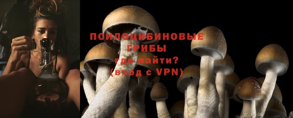 каннабис Гусев