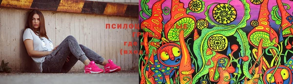 крисы Гусь-Хрустальный
