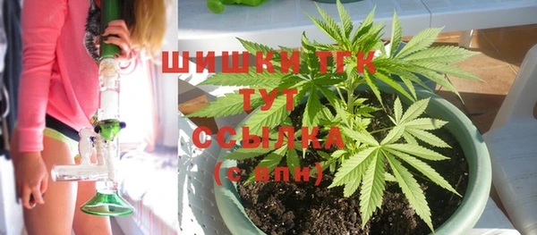 крисы Гусь-Хрустальный