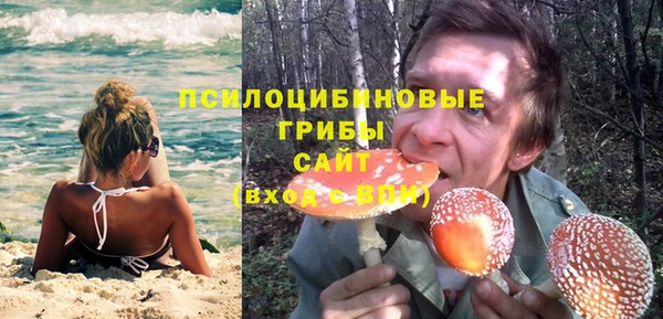 крисы Гусь-Хрустальный