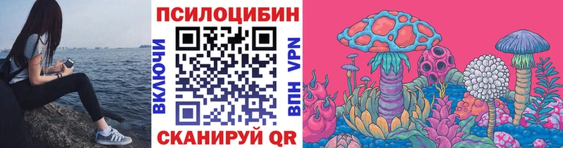 Псилоцибиновые грибы Psilocybine cubensis  Купить где  Питкяранта 